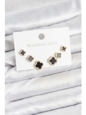 cleovibe 316L Çelik Zirkon Taşlı Yonca Model Kadın Küpe Seti