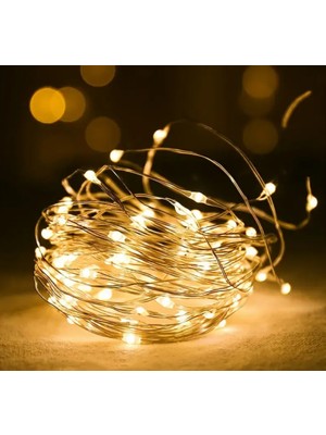 Es Dekor 78 INÇ-2M-20LED'LER / Ilık Pil ile Çalışan Peri Işıkları Gümüş Tel LED Dizili Işıklar