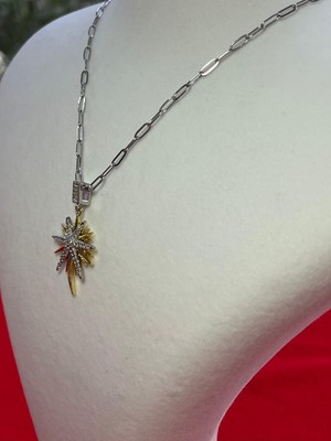 Iğne Uçlu Yıldız Model Kolye