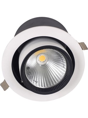 Ack 30W 4000K Cob LED Salyangoz Armatür (Beyaz Kasa)