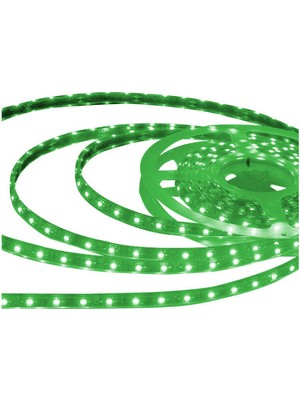 Ack Üç Çip Iç Mekan Yeşil Şerit LED