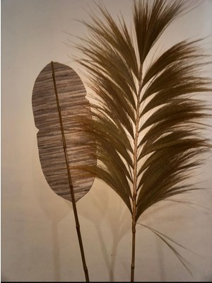 Bambu Pampas Püskül Saçak Dekoratif Vazo Duvar Ev Ofis Süsü, Bohem Dekor, El Yapımı, Kuru Çiçek