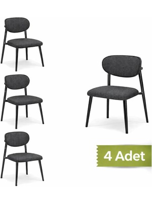 Avenza Living Polo 4’lü Metal Ayaklı Modern Mutfak Sandalyesi – Konforlu Oturum