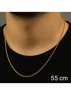 TRY Altın Renk Ince Doc Unisex Çelik Kolye - 3364