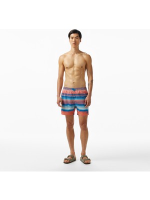 Speedo Plmt Leisure 16 Wsht Am Erkek Mavi Deniz Şortu.-