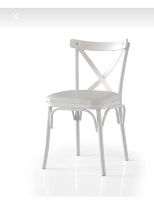 Vogue Tasarım ve Aksesuar Sandalye Şık Ekonomik Sıcak Tamamlayıcı