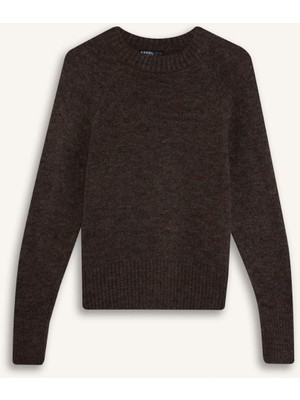 DeFacto Regular Fit Bisiklet Yaka Kazak G6953AX25WN