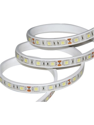 Ack Üç Çip Dış Mekan Beyaz Şerit LED 220V