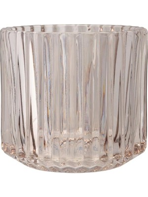 Minto Diş Fırçalık