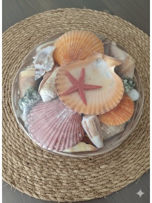 Moda Marifet Deniz Kabukları Ile Hazırlanmış Dekoratif Hasır Sepet