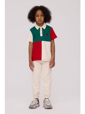 Beverly Hills Polo Club Erkek Çocuk Renkli TShirt Standart Kol Bisiklet Yaka Örme Kumaş