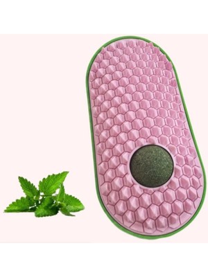 Ttt Silikon Kaşıyıcılı Kedi Otu