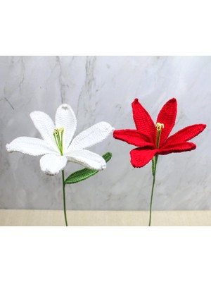 Ttt El Örgüsü Zambak Çiçeği