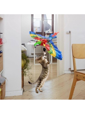 Ttt Uçan Papağan Kedi Oyuncağı