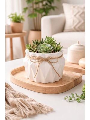 Akanart Dekoratif Beton Saksı ve Kase Seti