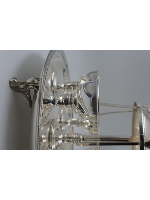 Ahu Gezek Yumurtalik Sunumluk