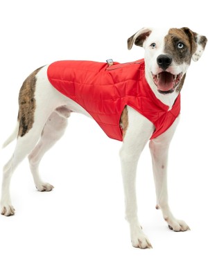 Kurgo Loft Köpek Ceketi, Köpek Koşum Takımı ile Kombine Edilebilir, Su Geçirmez ve Yansıtıcı, Kış Iç