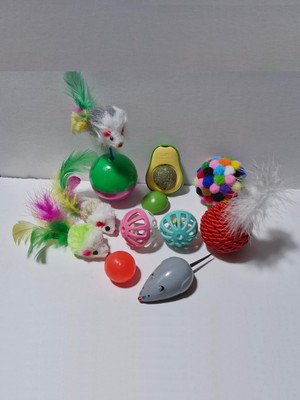 Petistera 10 Parça Kedi Oyuncak Seti