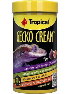 Tropical Gecko Cream Fig Incirli Gecko Yemi 100ML 50GR