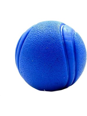 Mavi Yumuşak Dokulu Köpek Oyun Topu Mavi
