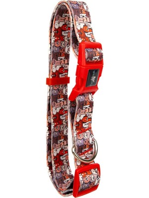 Pawlook Köpek Boyun Tasması – Geri Dönüştürülmüş, Ayarlanabilir, Emniyet Tokalı – Küçük ve Büyük Irk