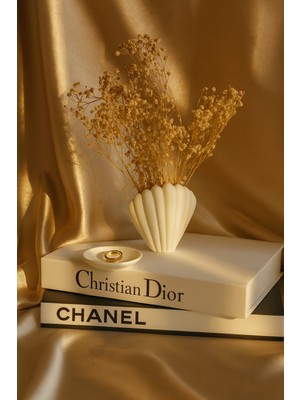 Akanart Dekoratif Deniz Kabuğu Vazo