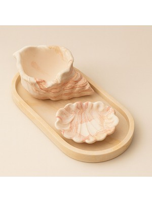 Akanart Dekoratif Deniz Kabuğu Beton Set – 3’lü