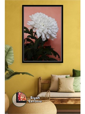 KOSS Dijital Beyaz Krizantem Çiçeği Pudra Fon Üzerinde Salon Yatak Odası Şık Duvar Dekoru Çerçeveli Kanvas Tablo