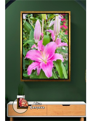 KOSS Dijital Pembe Zambak Çiçeği ile Ferah Salon ve Yatak Odası Için Doğal Duvar Dekoru Çerçeveli Kanvas Tablo