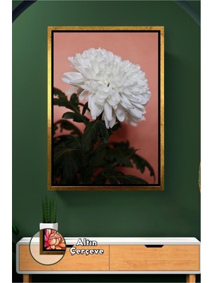 KOSS Dijital Beyaz Krizantem Çiçeği Pudra Fon Üzerinde Salon Yatak Odası Şık Duvar Dekoru Çerçeveli Kanvas Tablo