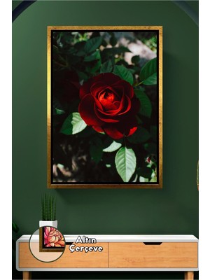 KOSS Dijital Derin Kırmızı Gül Detayıyla Çarpıcı Ev Dekorasyonu Etkileyici Duvar Stili Çerçeveli Kanvas Tablo