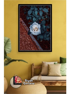 KOSS Dijital Beyaz Gül Çiçekli Minimal Dekoratif Duvar Tablosu Yatak Odası ve Salon Için Çerçeveli Kanvas Tablo