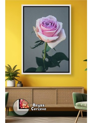 KOSS Dijital Tek Dal Pembe Gül Detaylı Zarif Salon ve Yatak Odası Duvar Dekoru Çerçeveli Kanvas Tablo