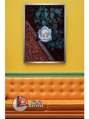 KOSS Dijital Beyaz Gül Çiçekli Minimal Dekoratif Duvar Tablosu Yatak Odası ve Salon Için Çerçeveli Kanvas Tablo