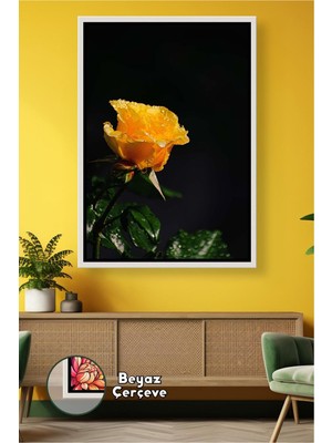 KOSS Dijital Siyah Arka Planlı Sarı Gül Su Damlası Şık Ev Dekoru Salon Duvar Tasarımı Çerçeveli Kanvas Tablo