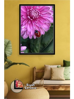 KOSS Dijital Pembe Krizantem ve Uğur Böceği Detaylı Doğa Temalı Salon Duvar Dekoru Çerçeveli Kanvas Tablo