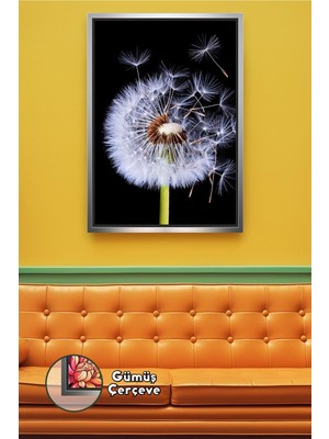 KOSS Dijital Siyah Zemin Karahindiba Çiçeği Yakın Plan Doğa Fotoğrafı Modern Duvar Dekoru Çerçeveli Kanvas Tablo