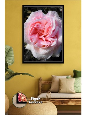 KOSS Dijital Pembe Gül Çiçek Tablosu Minimal Salon Yatak Odası Duvar Dekoru Için Çerçeveli Kanvas Tablo