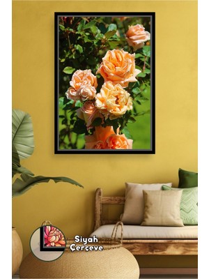 KOSS Dijital Şeftali Gül Demeti Duvar Dekoru Klasik Çiçek Temalı Ev Dekorasyonu Için Çerçeveli Kanvas Tablo