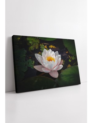 KOSS Dijital Nilüfer Çiçeği Gölette Su Bitkisi Manzarası Kanvas Tablo Doğal Tonlarda Huzurlu Sanat Görseli