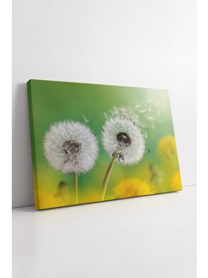 KOSS Dijital Karahindiba Doğa Manzaralı Kanvas Tablo Yeşil Sarı Çiçek Temalı Modern Duvar Dekoru