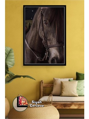 KOSS Dijital Siyah At Yakın Plan Duvar Tablosu Asil ve Güçlü Hayvan Temalı Dekoratif Çerçeveli Kanvas Tablo