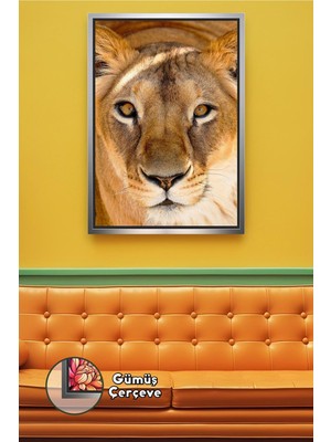 KOSS Dijital Dişi Aslan Tablosu Yakın Plan Hayvan Temalı Duvar Dekoru Ev Dekorasyonuçerçeveli Kanvas Tablo