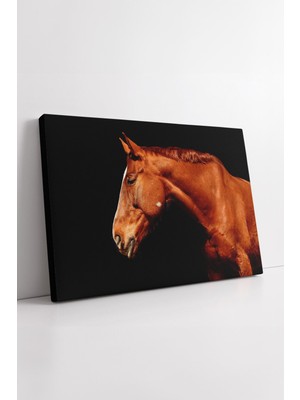 KOSS Dijital Kızıl At Portresi Kanvas Tablo Dramatik Işık Temalı Şık Minimal Modern Dekoratif Sanatsal Duvar
