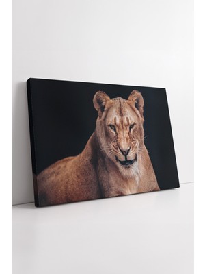KOSS Dijital Dişi Aslan Portresi Yaban Doğa Detaylı Güçlü Bakışlı Sıcak Tonlu Modern Kanvas Tablo Dekoru