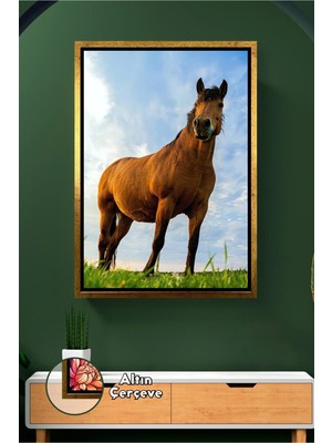 KOSS Dijital Doğal Işıkta Ayakta Duran Güçlü At Figürü Modern Hayvan Temalı Duvar Sanatı Çerçeveli Kanvas Tablo