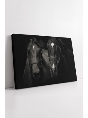 KOSS Dijital Siyah Fon Üzerinde Iki At Portresi Şık Kontrastlı Sanatsal Modern Stil Dekoratif Kanvas Tablo