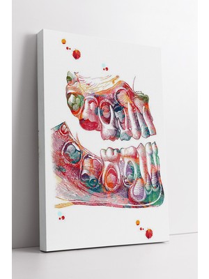 KOSS Dijital Renkli Çene ve Diş Yapısı Sanatsal Anatomi Tasarımı Diş Kliniği Için Dekoratif Kanvas Tablo