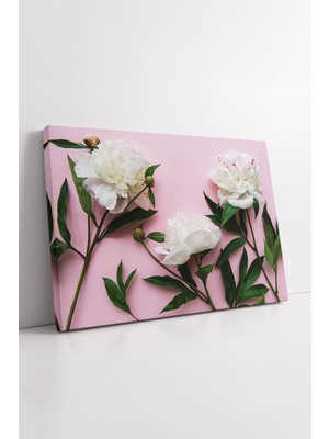 KOSS Dijital Beyaz Şakayık Çiçekleri Pembe Zemin Üzerinde Kanvas Tablo Minimal Romantik Modern Duvar Dekoru