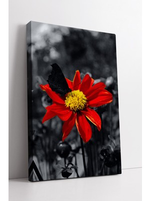 KOSS Dijital Kırmızı Çiçek ve Kelebek Temalı Doğal Estetik Sunan Modern Sanatsal Dekoratif Kanvas Tablo